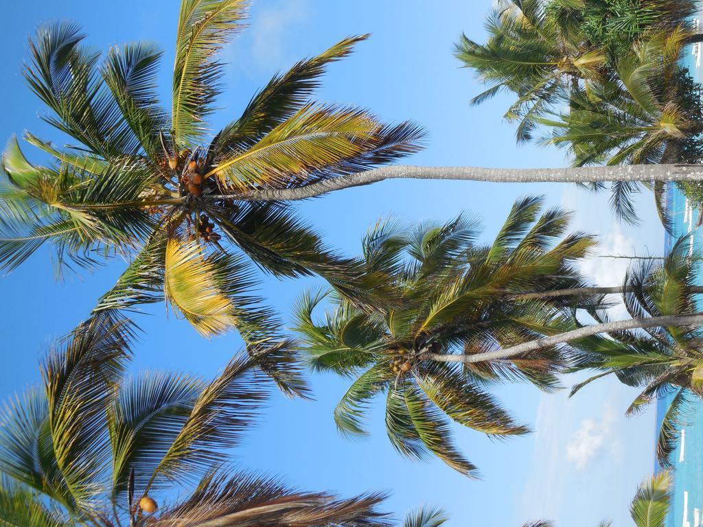 Zanzibar Swahili Beach Resort מראה חיצוני תמונה