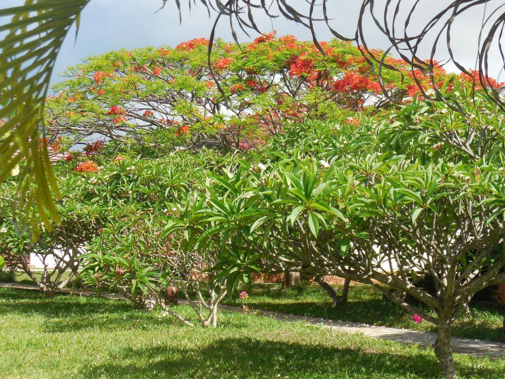 Zanzibar Swahili Beach Resort מראה חיצוני תמונה
