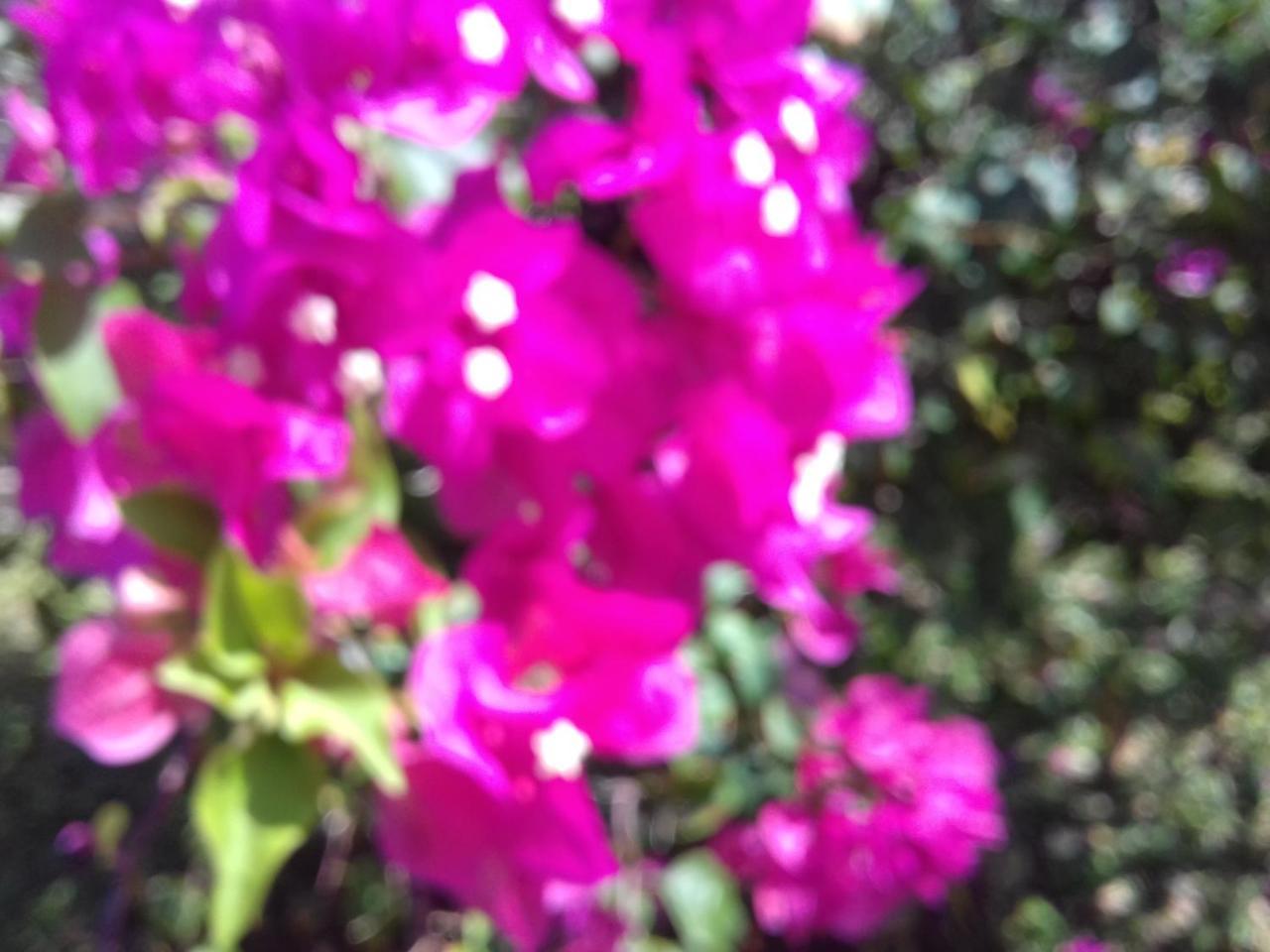 Zanzibar Swahili Beach Resort מראה חיצוני תמונה